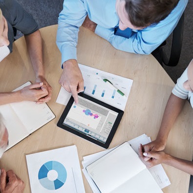 Portfolio, Program and Project (PPM) Management Services